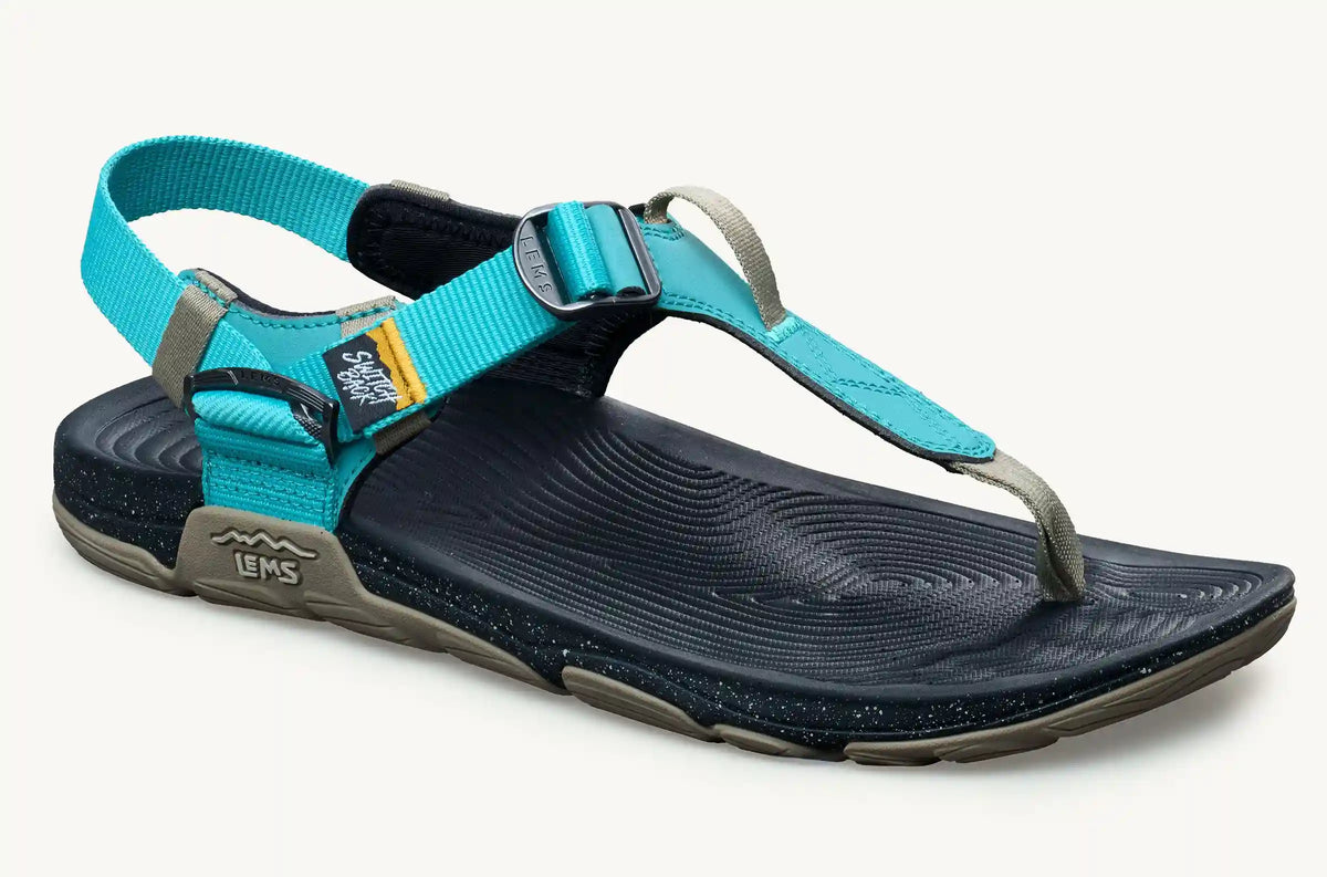Men's Switchback Sandal