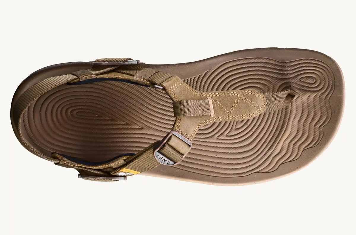 Men's Switchback Sandal